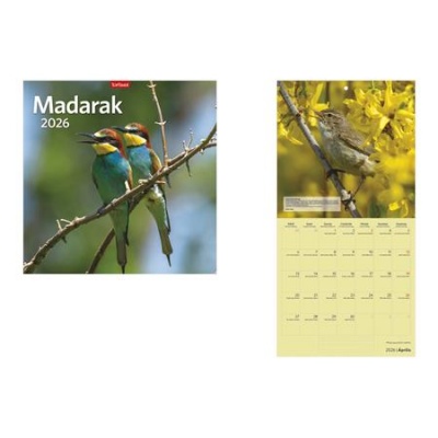 Naptár, fali, TOPTIMER "Madarak"